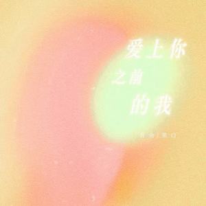 爱上你之前的我