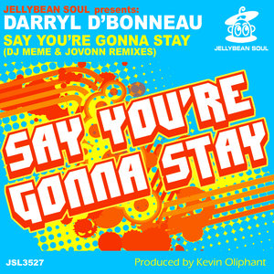 Say You're Gonna Stay (DJ Meme & Jovonn Remixes)