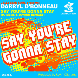 Say You're Gonna Stay (DJ Meme Remix)