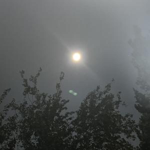 The Twilight Zone (Explicit)