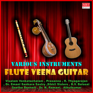 Flute Veena Guitar