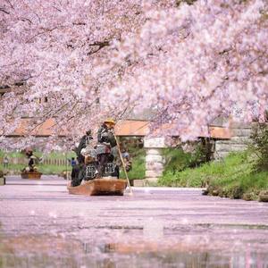 渡月橋 ~君 想ふ~