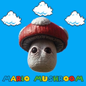 Mario Mushroom (Explicit)