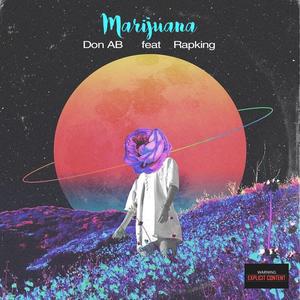 ********* (feat. Rapking) (Explicit)