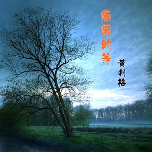 痴痴的等