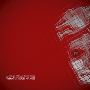 What's Your Name (Original Mix)