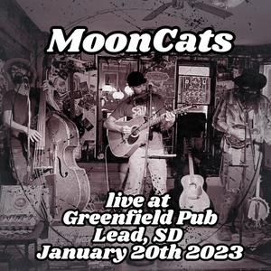 Live at Greenfield Pub