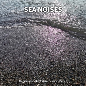 Sea Waves - Sea Noises, Part 87