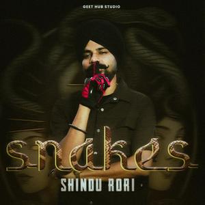 SNAKES (feat. FLAMEBOY) (Explicit)