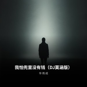 我怕兜里没有钱 (DJ莫涵版)