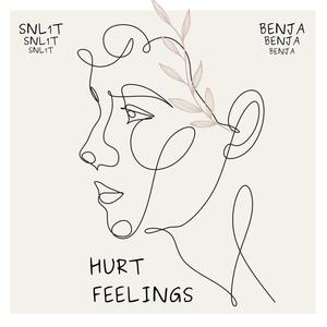 Hurt Feelings