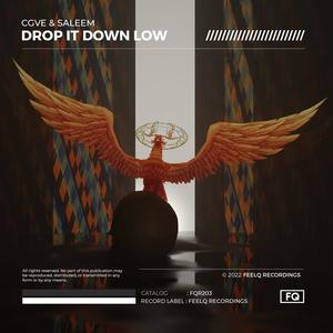 Drop It Down Low