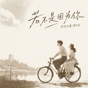 若不是因为你