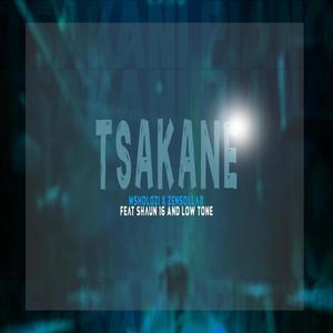 Tsakane (feat. Shaun 16, Zensollar & Low Tone) [Piano Version]