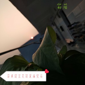 世界这么大还是遇见你