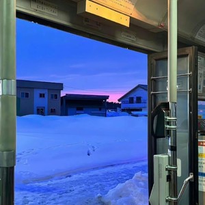 Dear D(亲爱的告诉你）