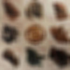 Buck, Buck, Buck (feat. Diezzle Don & The Govener) (Explicit)