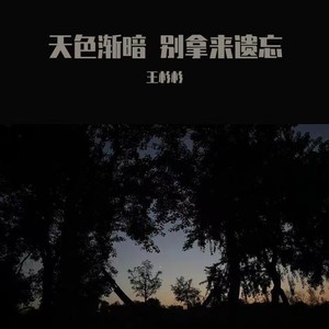 天色渐暗，别拿来遗忘 (伴奏)