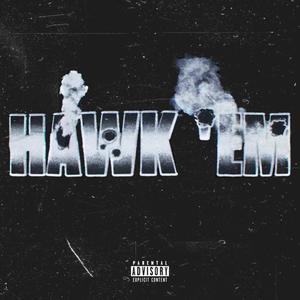 HAWKEM2