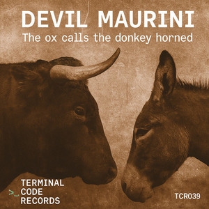 The ox calls the donkey horned (Radio Mix)