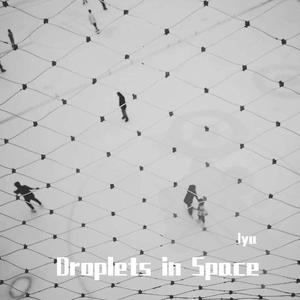 Droplets in Space Instrumental