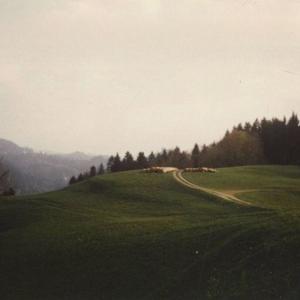 Attention Whore (feat. AUDUBON) (Explicit)