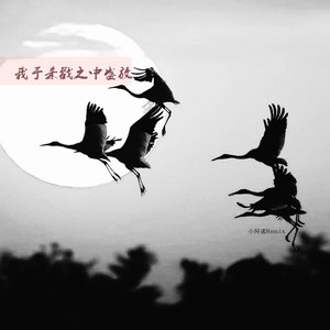我于杀戮中盛放