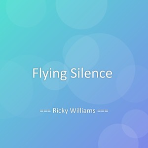 Flying Silence