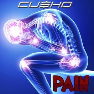 Pain (feat. IN$OMNIAC!) [Explicit]