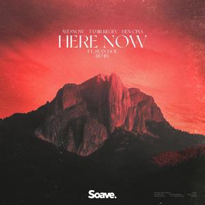 Here Now (feat. Sean Doe) - Remix