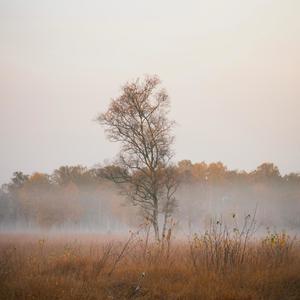 Again Again (feat. Paul Walden & Adam Panek)