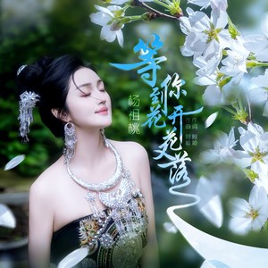 等你到花开花又落