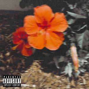Miles Morales (feat. MBMir) (Explicit)