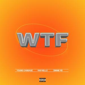 WTF (feat. Rafaello & Dinnie RD) (Explicit)