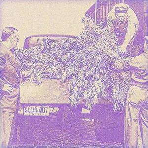 Kush Clouds(feat. Budda) (Explicit)