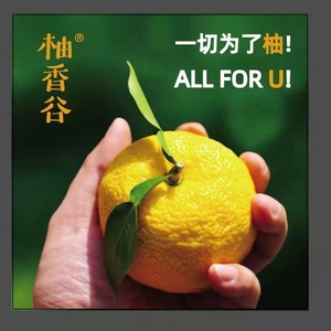 All for U：双柚之歌