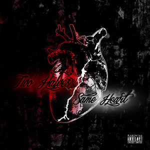 Reasons (Explicit)