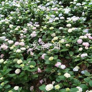 爱情睡醒了