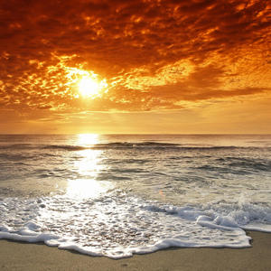 Mi Última Luna (14/02/LN) (Explicit)