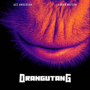 Orangutang (feat. Akron Watson) (Explicit)