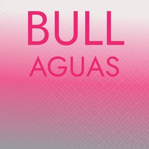 Bull Aguas