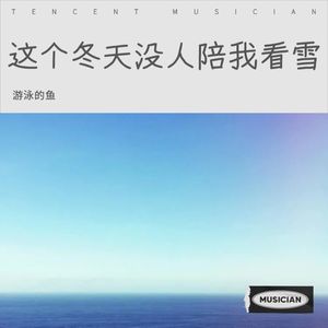 这个冬天没人陪我看雪封面