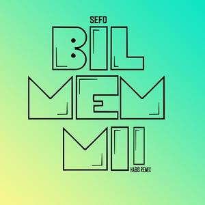 Bilmem mi (feat. sefo) [Remix]