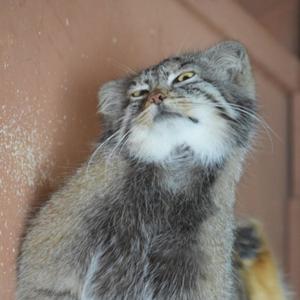 zephyrhills (feat. longlivemir, one47 & sc00t|Explicit)