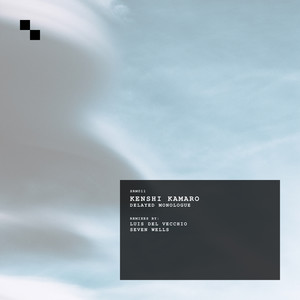 Delayed Monologue (Seven Wells Remix)