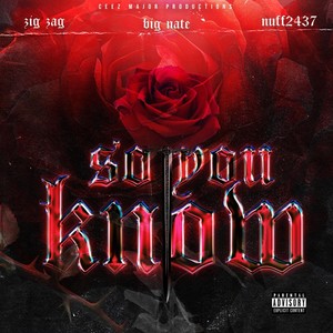 So You Know (feat. Zig Zag, Hard Block & Nuff2437) (Explicit)