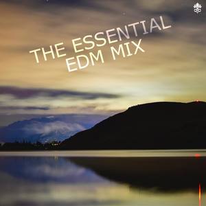 The Essential EDM Mix