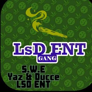 S.W.E(feat. Ducce2x) (Explicit)