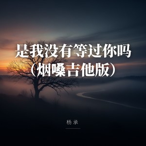 是我没有等过你吗 (烟嗓吉他版)封面