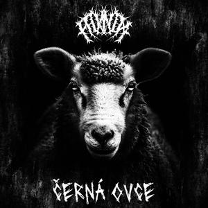ČERNÁ OVCE (Explicit)
